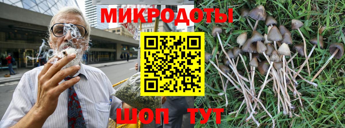 Псилоцибиновые грибы GOLDEN TEACHER  Галлюциногенные грибы Psilocybine cubensis  Вход с VPN  Удомля 