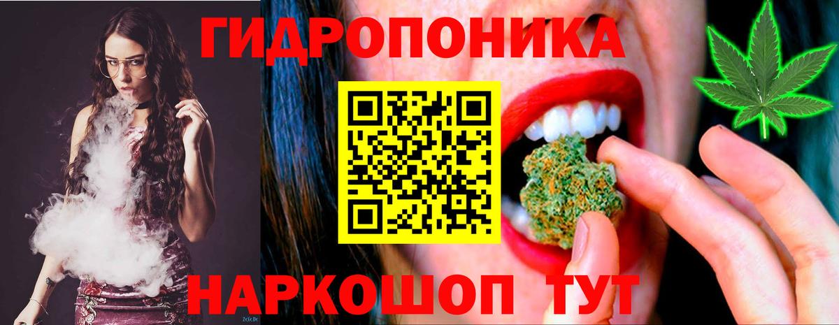 Конопля марихуана Удомля